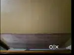 PLYWOOD 1 SHEET