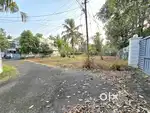 10 CENT ORGINAL LAND FOR SALE IN KAKKANAD NEAR PALACHUVAD
