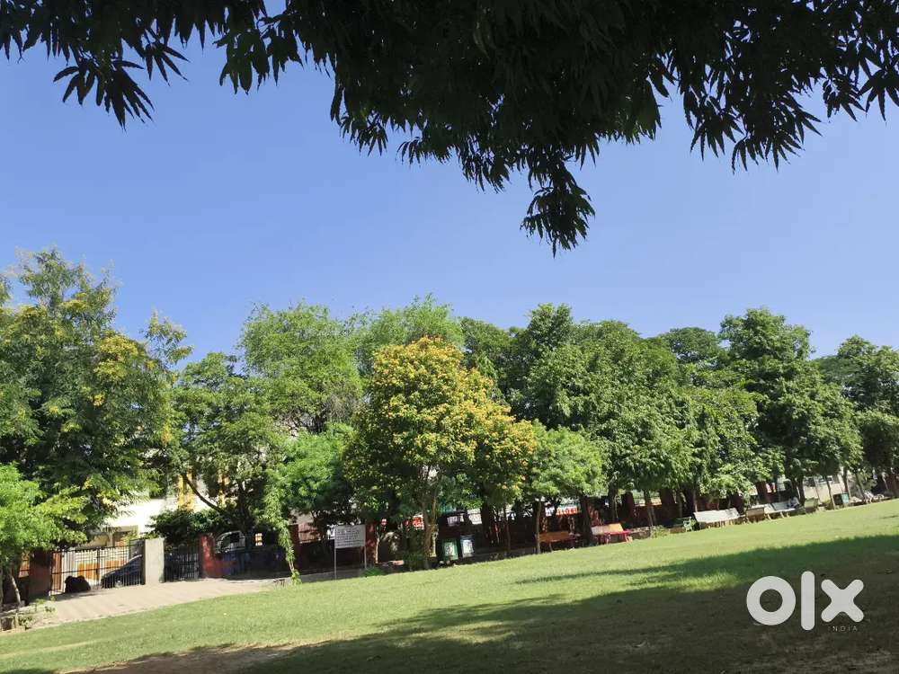 Part time teacher requirement female