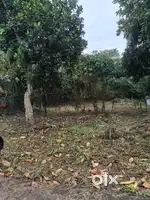 17.6 Cent plot for sale