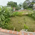Residential plot for sale demarcated with boundary walls.