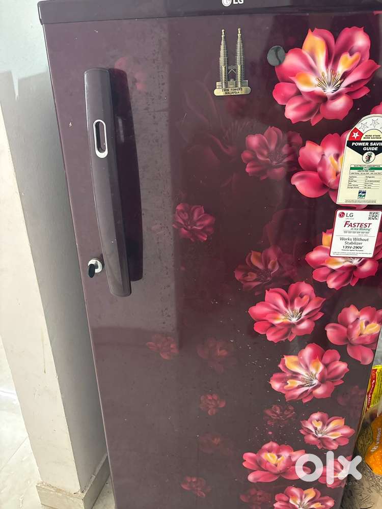 LG 190 L Single Door Refrigerator – Excellent Condition, Low Power Use