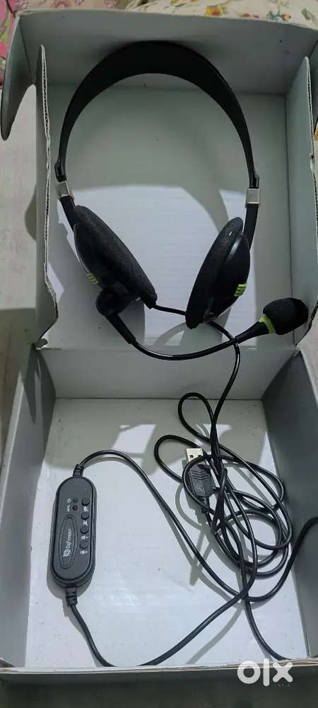 BigPassport Headphone with mic