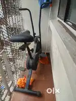 Exercise stable cycle
