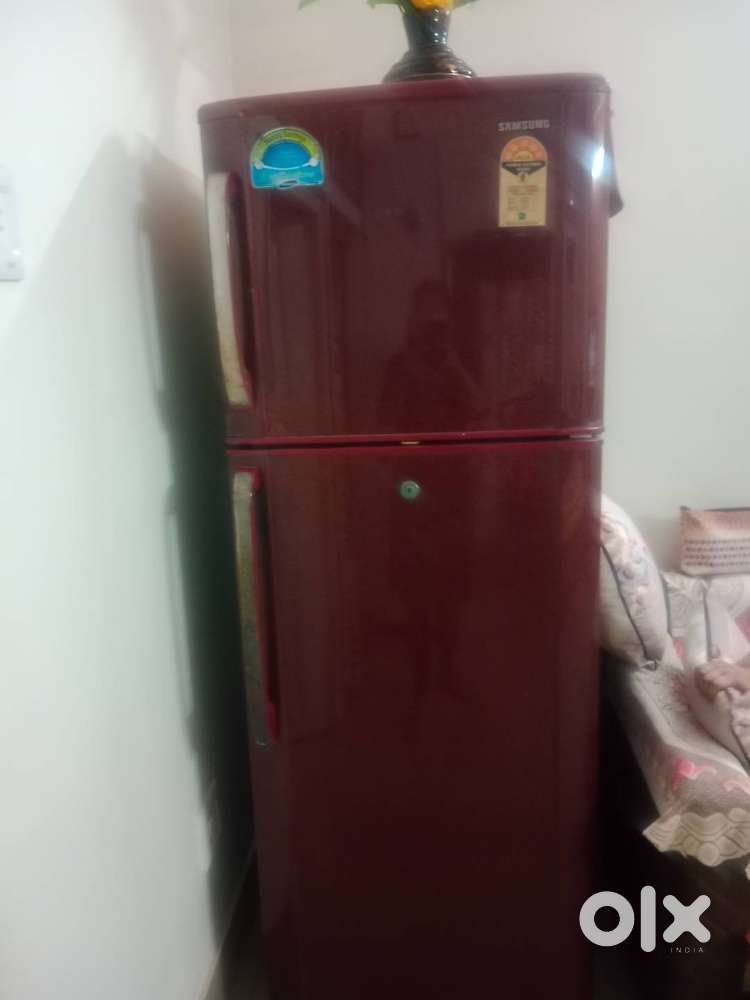 Samsung double door