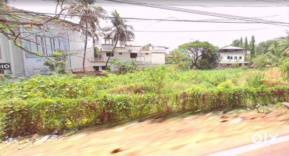 Plot Near Palakkad Civil Station - Doctor/Clinic/Advocate/Paying Guest