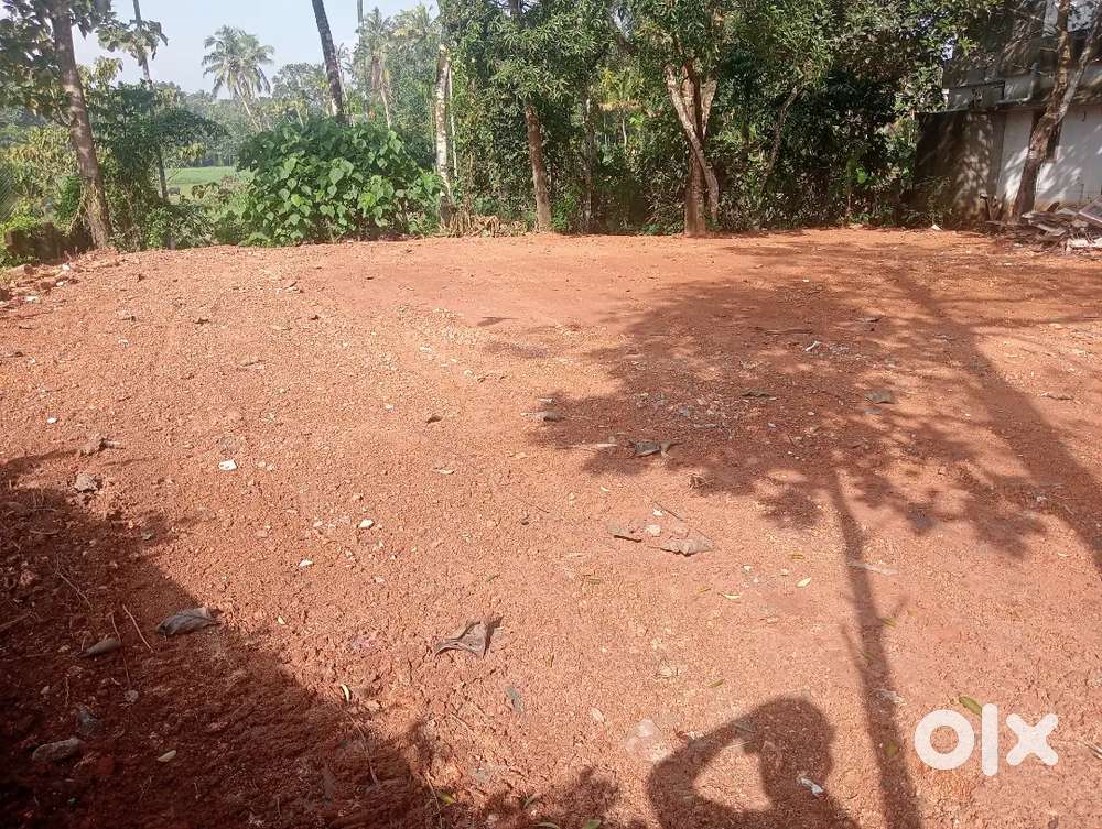 11 CENT LAND AT PUKKATTUPADY