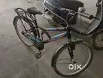 20 inch Cycle