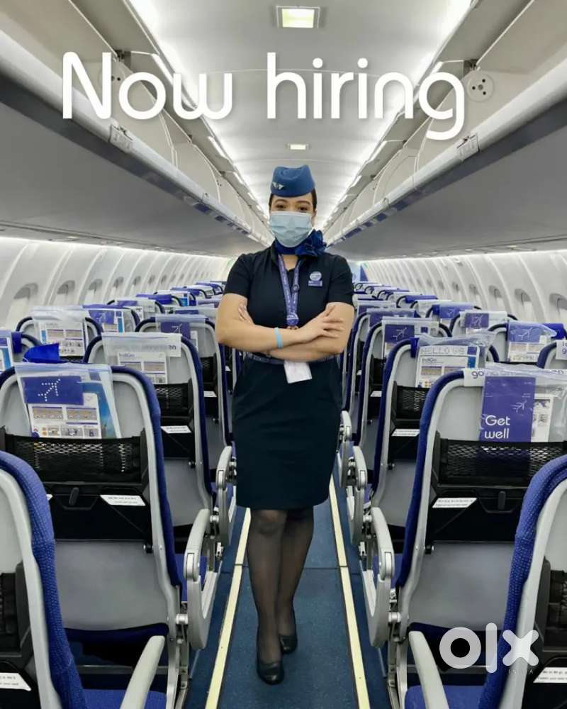 Indigo Airlines jobs /Vacancy for Airport Ground staf / Driver / Crew