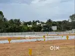 PLOTS FOR SALE NEAR STRR HIGHWAY