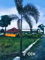 Plot sale 2katha, 3katha, 5Katha