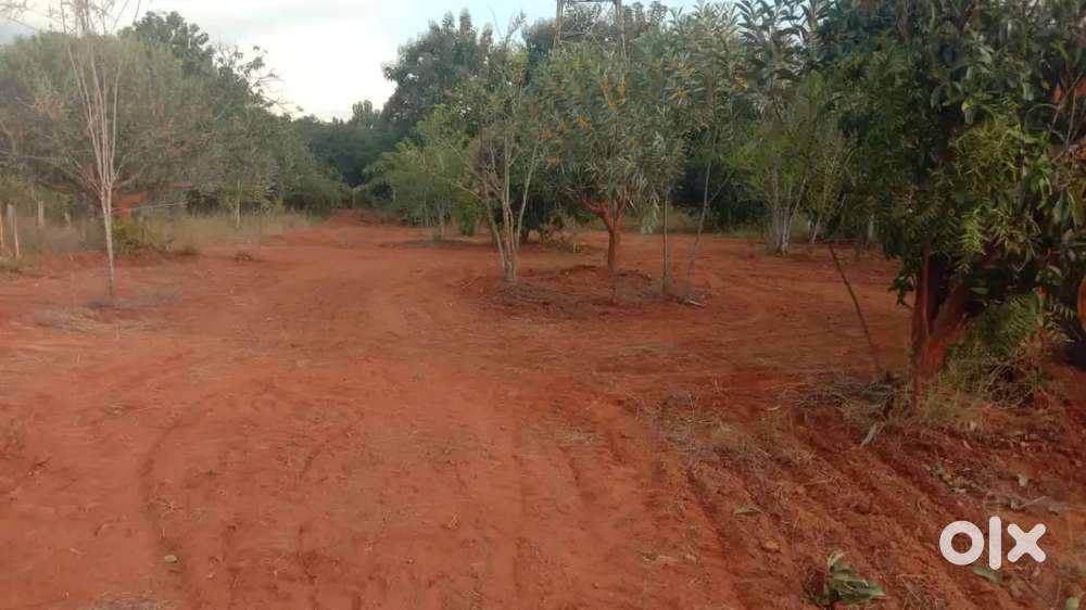 20 cents land for sale