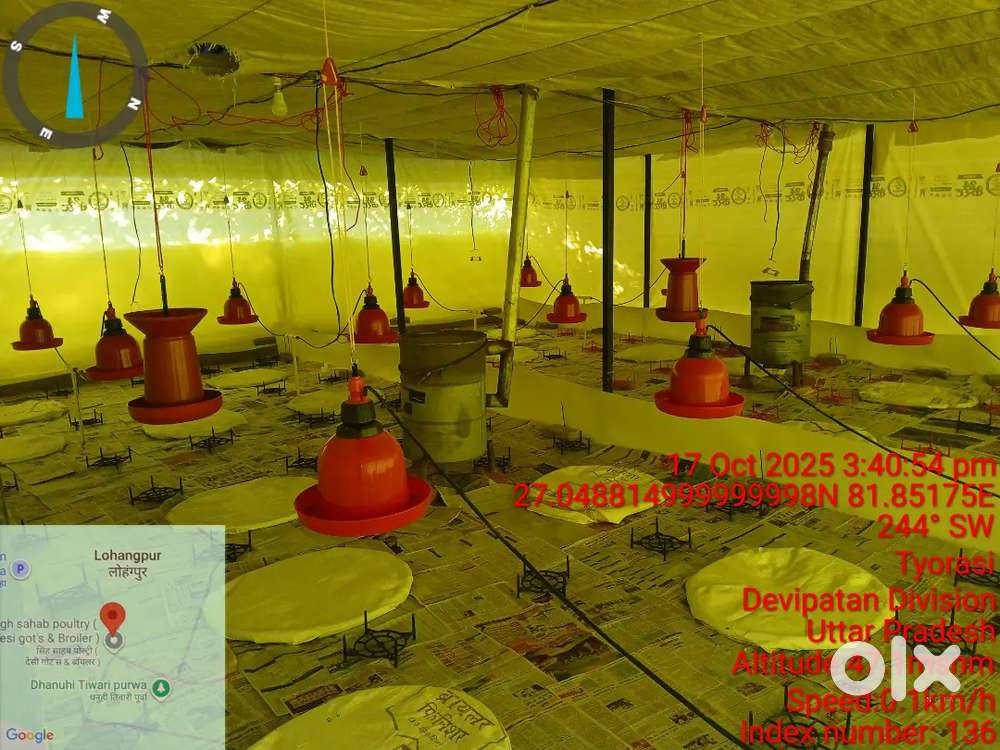 मुर्गी फार्म पर लेबर की जरूरत