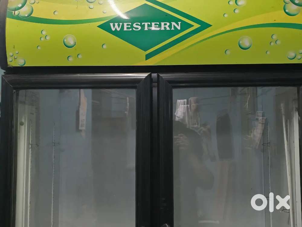 WESTERN Double door