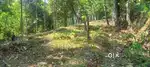 Plot for sale. Totel 40 scent sale together road available.vadayam