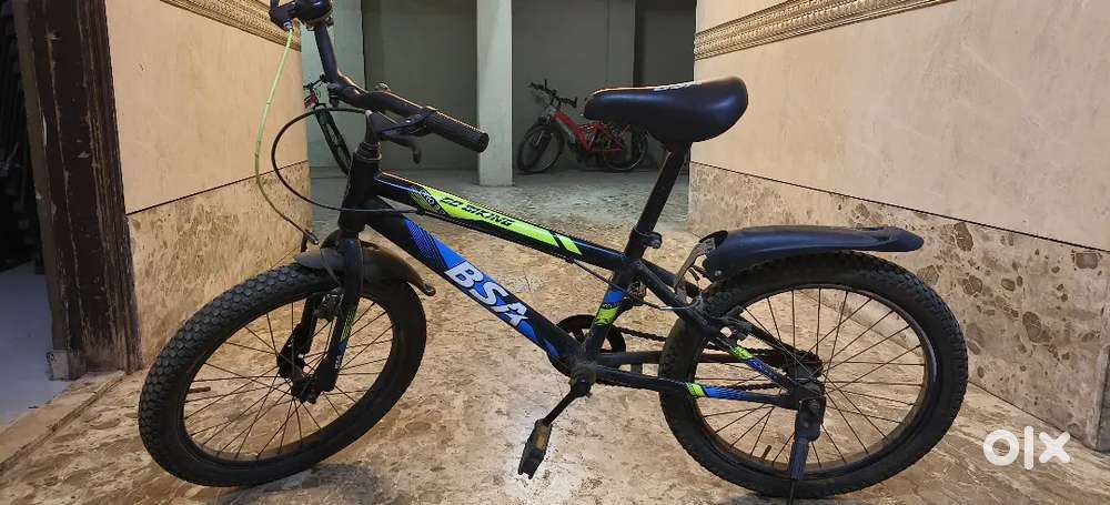 BSA pro series kids bike (5- 10 yrs)