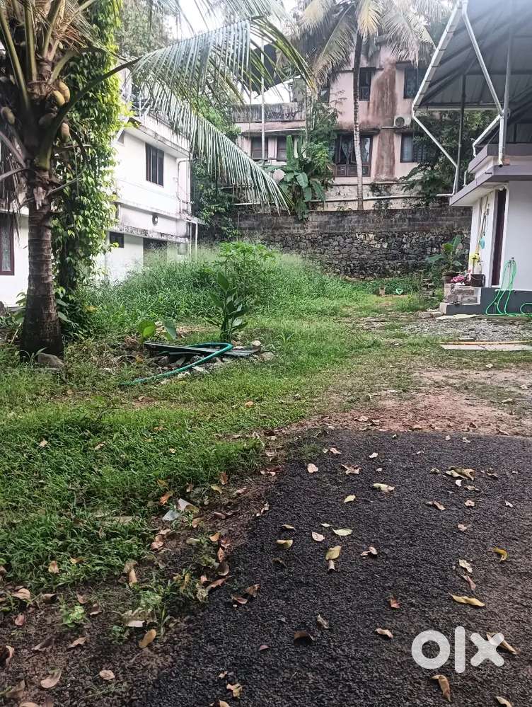 NH 47 പത്തടിപാലം (മ്യൂസിയം) സ്റ്റോപ്പ്‌ 250 മീറ്റർ 4 സെന്റ് വസ്തു