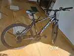 SCHNELL CYCLE