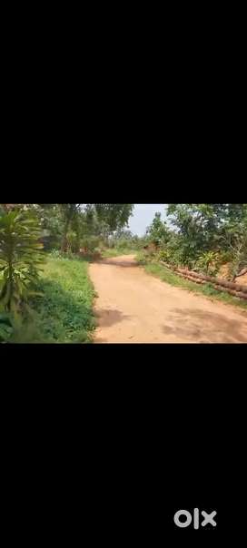 6.20 acre farm land for sale in Kankapura