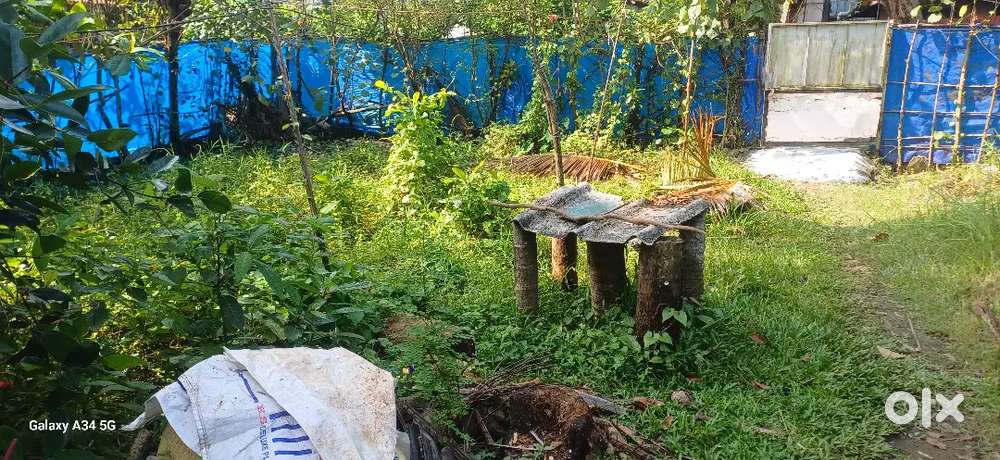 # Housing plot 2.6 cent for sale 7L