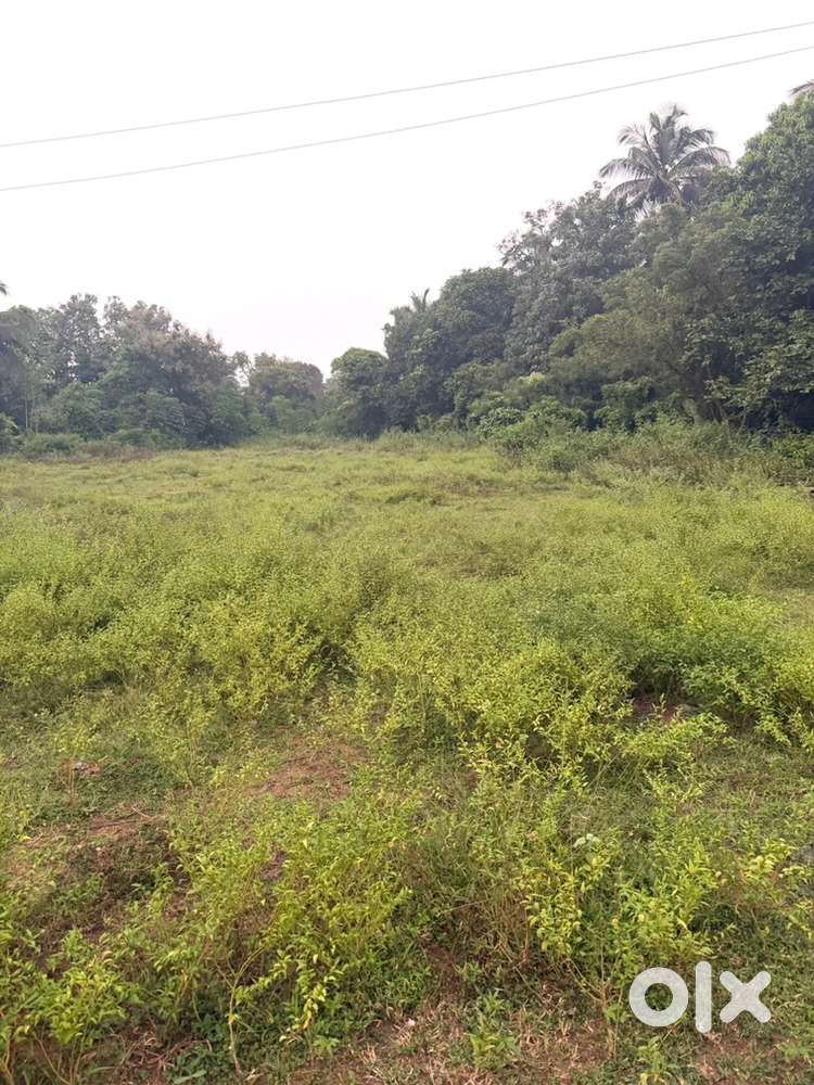 Road side and schools and hospitals are near