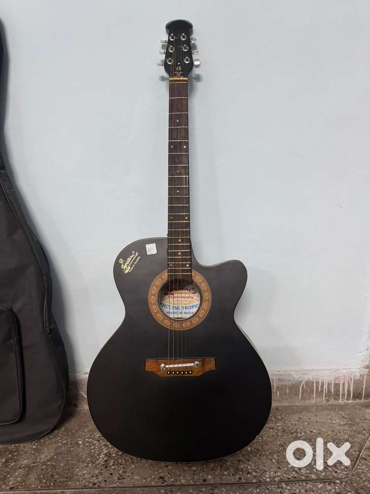 Acoustic - electric Guitar