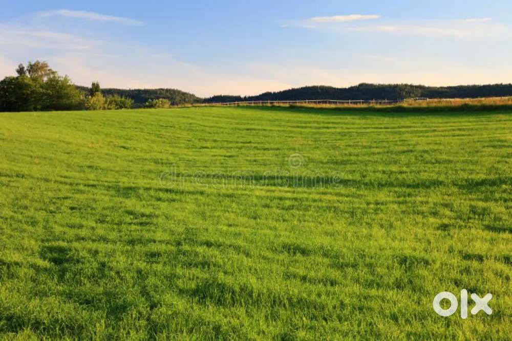 @₹6900/SQ MTS, AREA 256SQ MTS, BICHOLIM, PLOT FOR SALE