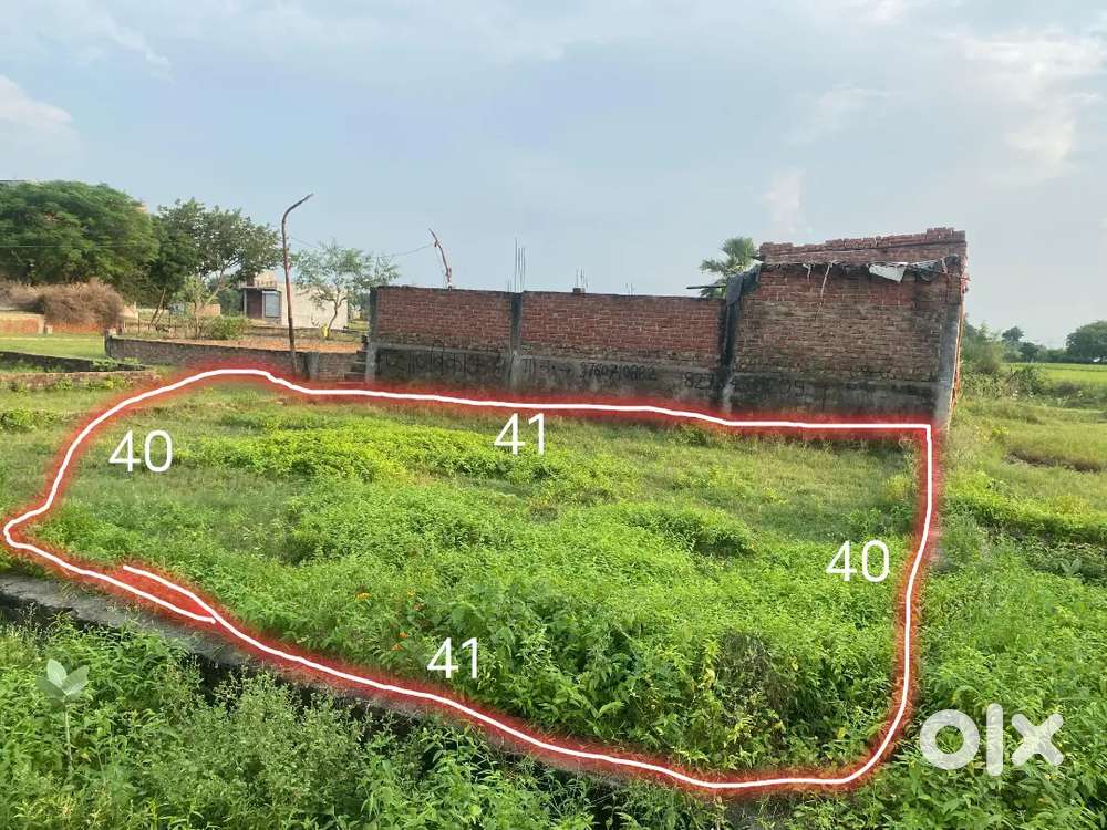 Plot Sell Very Urgent (Adarsh Nagar Bhogaon)