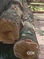 Jack fruit tree wood total 5 pieces
