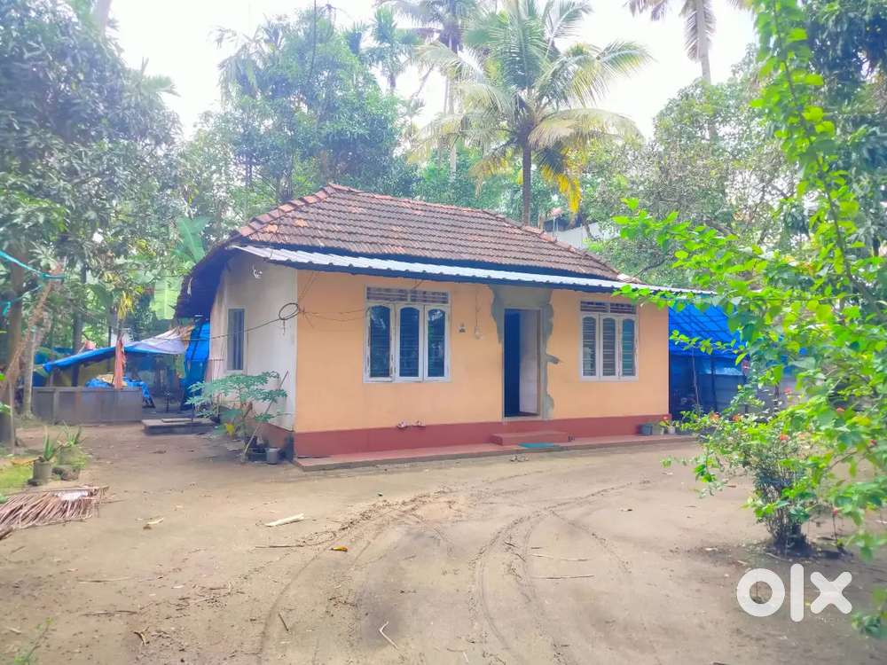 Edappally cheranalloor container road service road friend age 50 cent