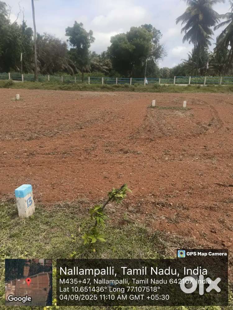 GRAFTS MAN & CARE SOFT IT COMPANY NEAR LOW BUDGET DTCP PROJECT