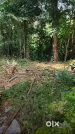 5 cent plot for sale urgently. Only genuine buyers contact
