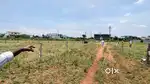 Good Investments for Highly potential Area 31Cent Patta Land (6 Plots)