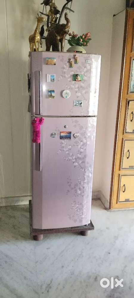 LG fridge double door