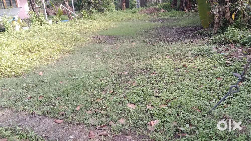 5 cent PLOT for sale @ kumbalam