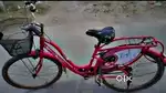 Lady Bird Cycle