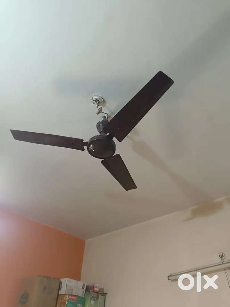 3 ceiling Fans