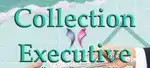 Field Collection Executive # Fixed Salary