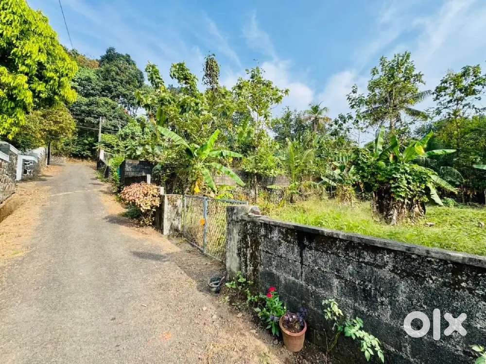 12.5 CENT RESIDENTIAL PLOT (LAND) FOR SALE AT KAKKANAD NAVODAYA