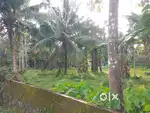 Land Plot for Sale. 900 mtrs from Puliyanam Govt School