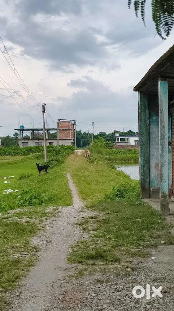 URGENT SELL RESIDENTIAL PLOT