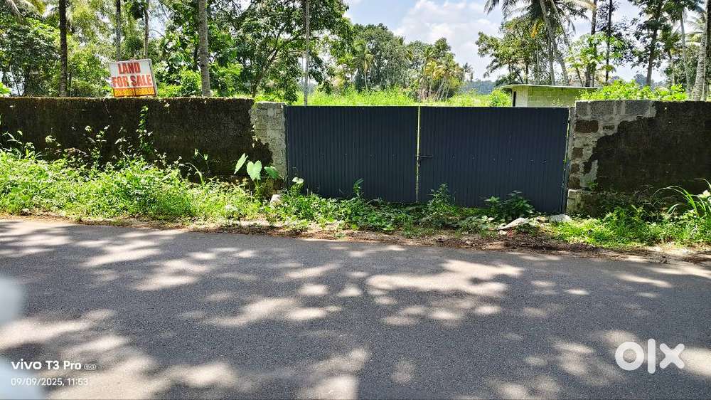 ചെങ്ങന്നൂർ മാന്നാർ മെയിൻ റോഡ് സൈഡിൽ 10 cent