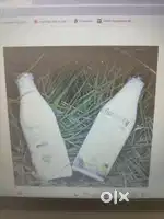 Delivery man in milk