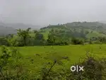 Agricultural land
