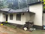 81 cent plot and house