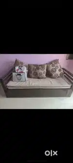 Sofa Cum Bed with mattress and cushion