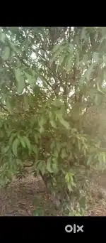 In Karnataka Just 3km inside in Bombay highway 155km  hyderbad