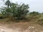 East facing 500 square yards land for sale in Tadepalligudem