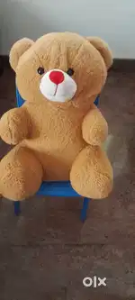 Teddy bear and other soft toys
