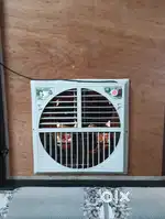 Cooler which make it cool